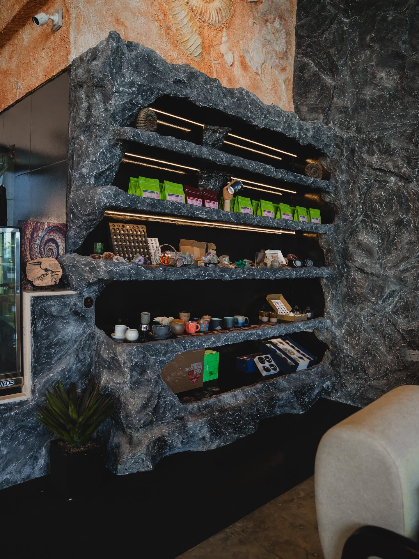 Fossil Café stone shelves with fossils, gems and coffee